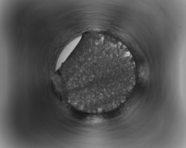 X0000088430559200706121453