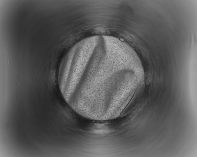 X0000088430560200706121453