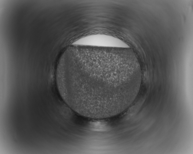 X0000088430561200706121453