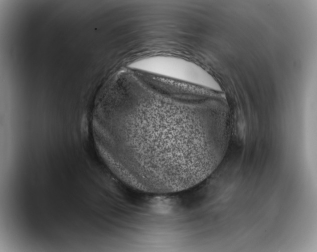 X0000088430562200706121453