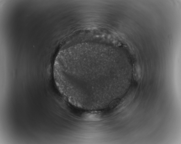 X0000088430563200706121453