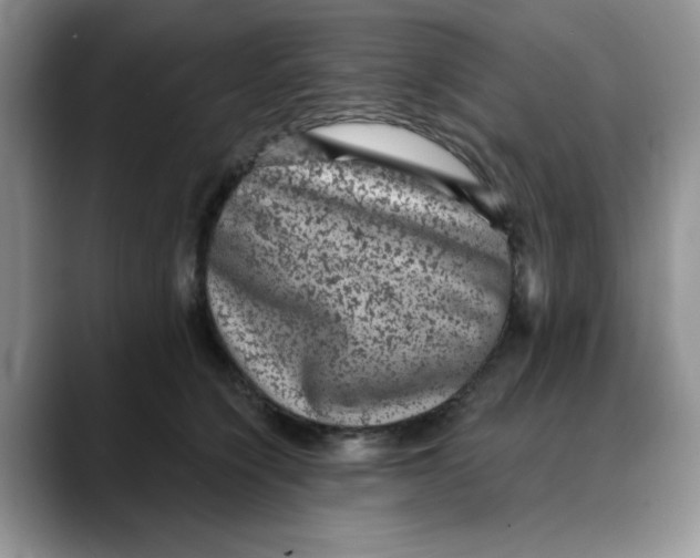 X0000088430564200706121453