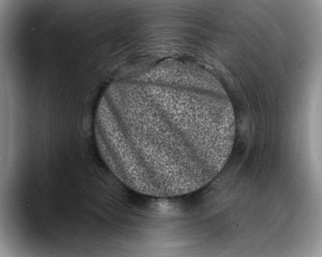 X0000088430565200706121453