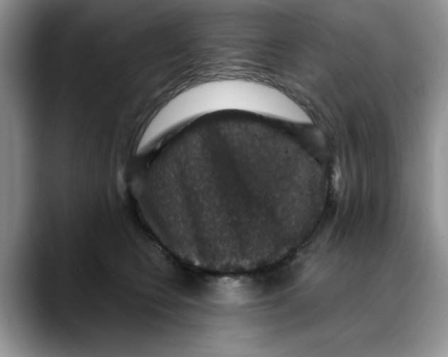 X0000088430566200706121453