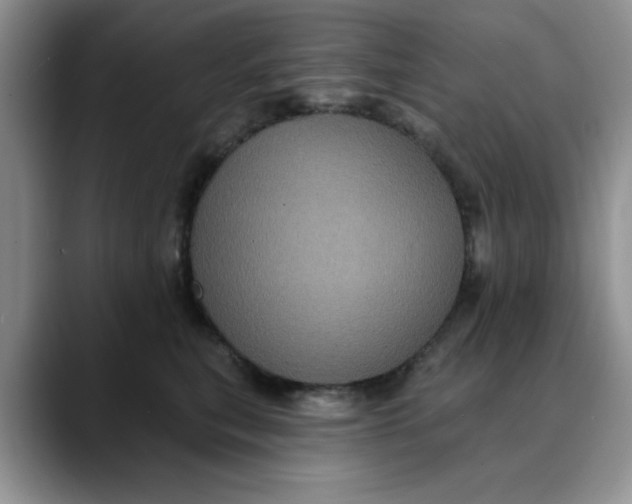 X0000088430567200706121453