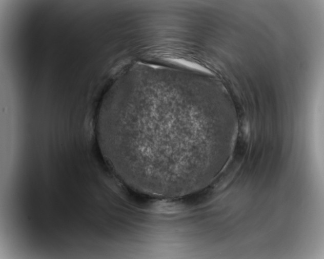 X0000088430568200706121453