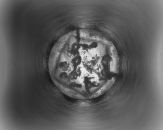 X0000088430569200706121453