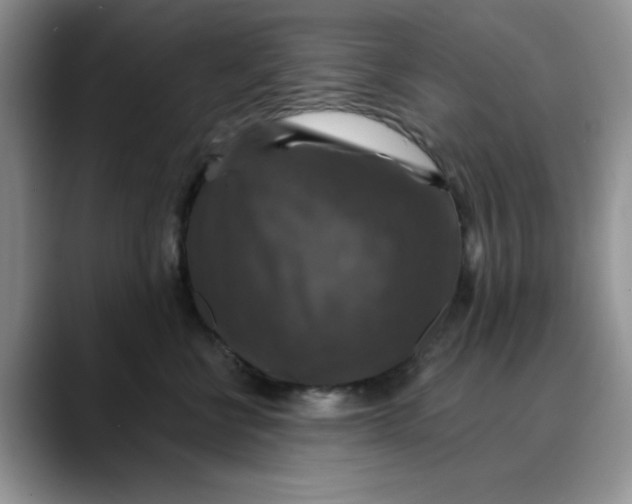 X0000088430570200706121453