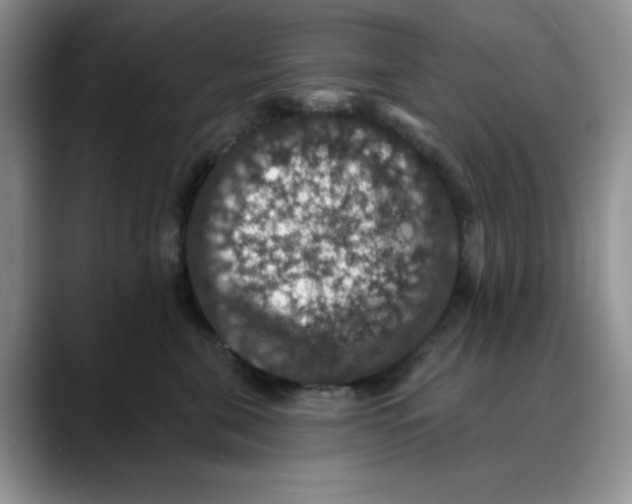 X0000088430571200706121453