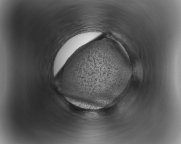 X0000088430572200706121453