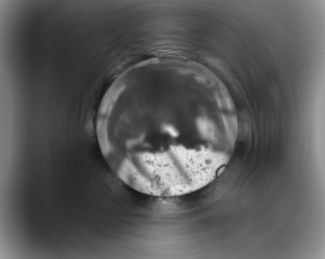 X0000088430573200706121453