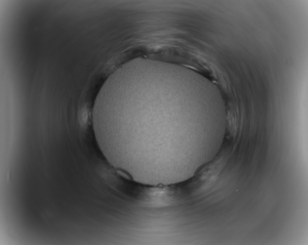 X0000088430574200706121453