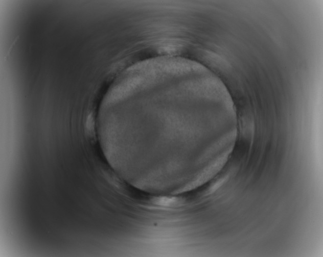 X0000088430575200706121453