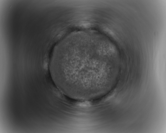 X0000088430576200706121453