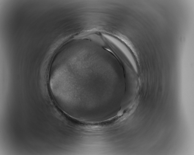 X0000088430577200706121452