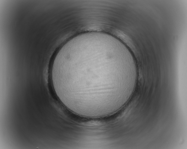 X0000088430578200706121452