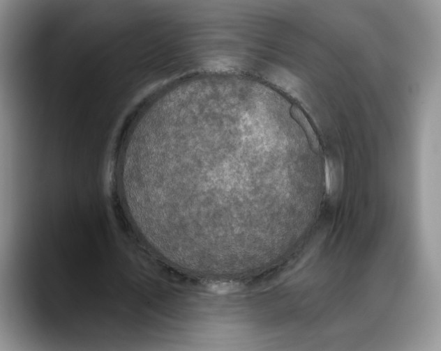 X0000088430579200706121452