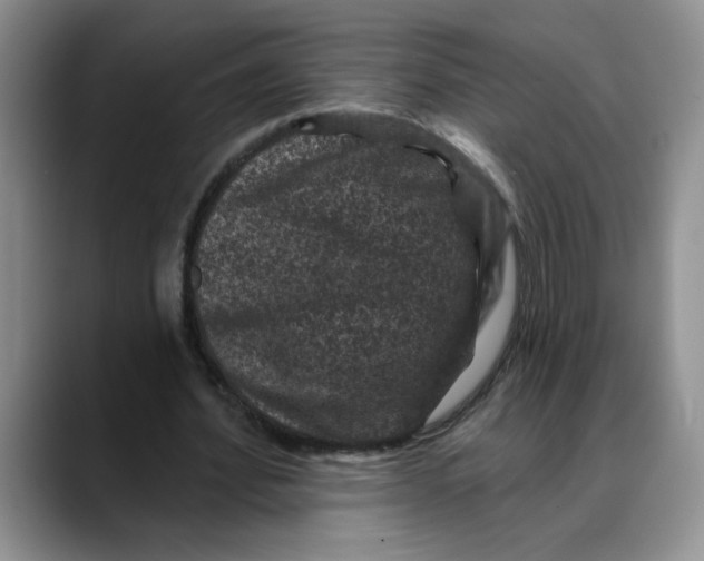 X0000088430580200706121452