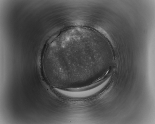 X0000088430581200706121452