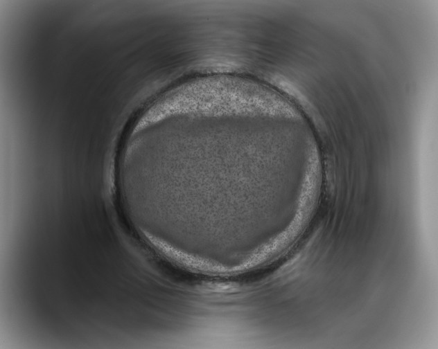 X0000088430582200706121452