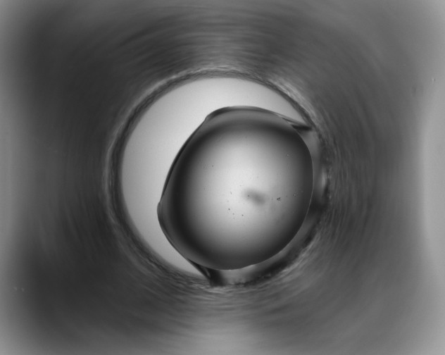 X0000088430584200706121452