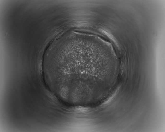 X0000088430585200706121452