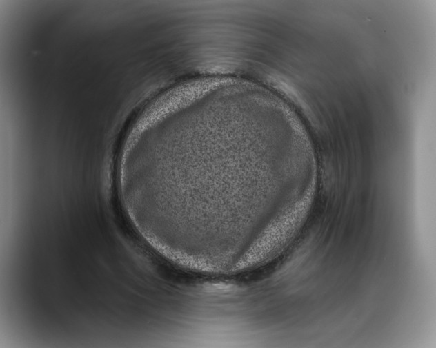 X0000088430586200706121452