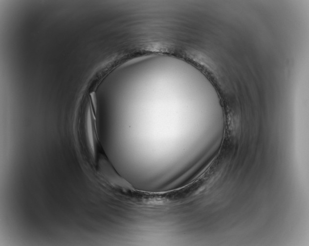 X0000088430587200706121452