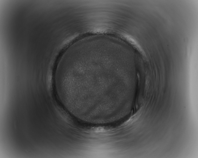 X0000088430588200706121452