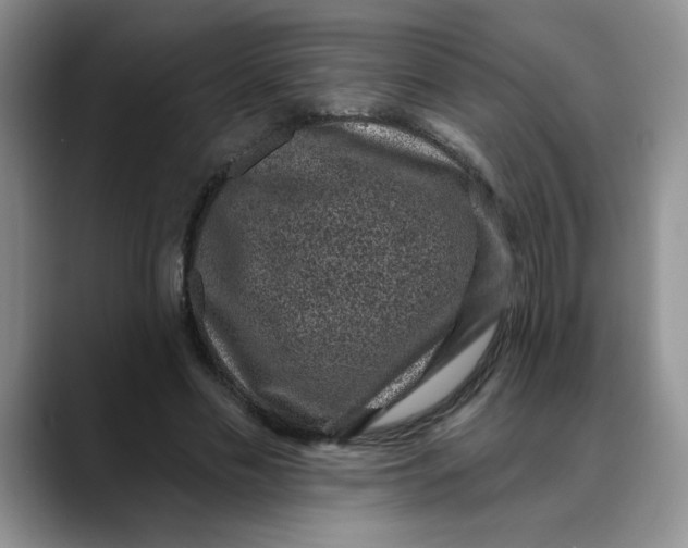 X0000088430589200706121452