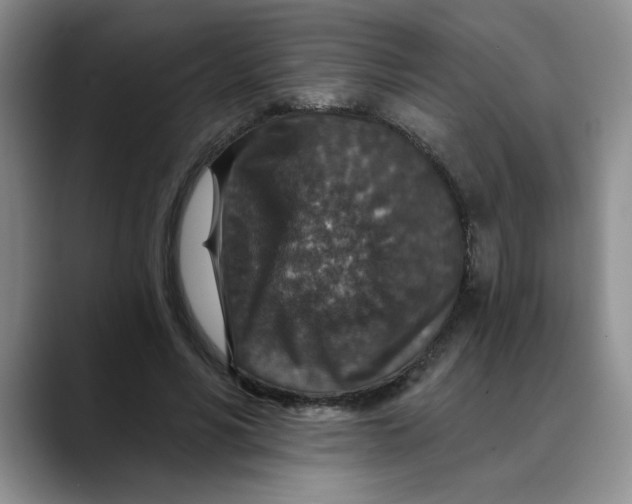 X0000088430590200706121452