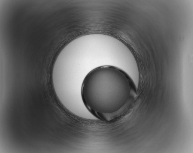 X0000088430593200706121452