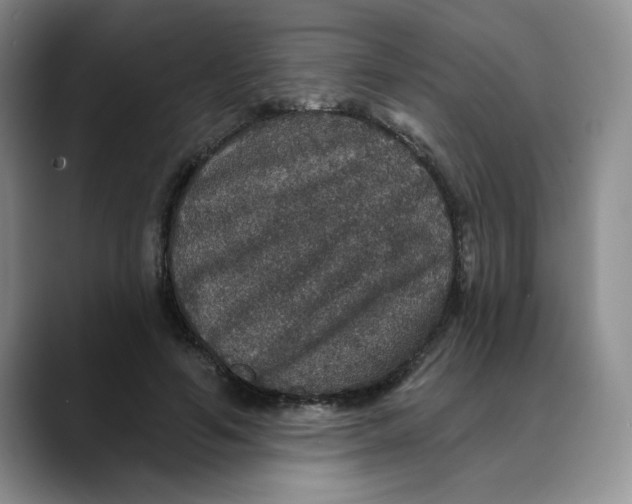 X0000088430594200706121452