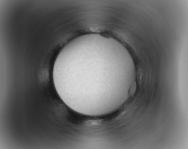 X0000088430595200706121452