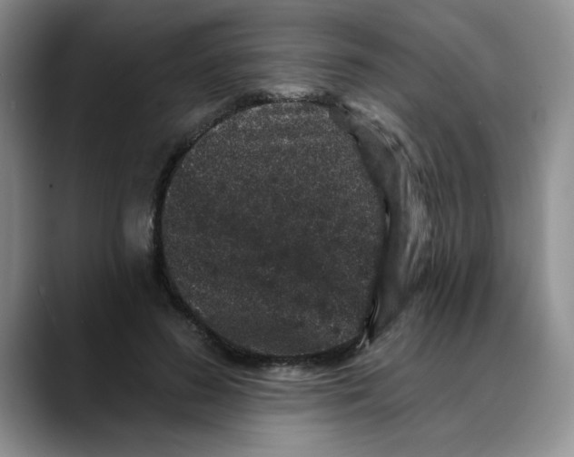 X0000088430596200706121452