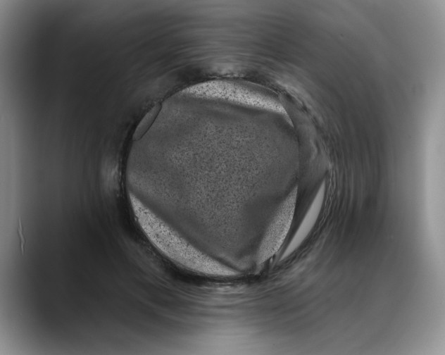 X0000088430597200706121452