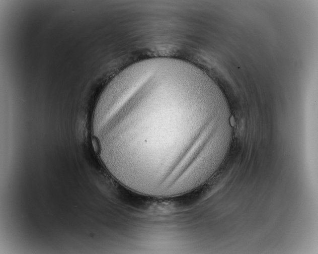 X0000088430599200706121452