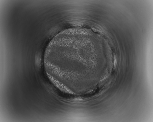 X0000088430600200706121452