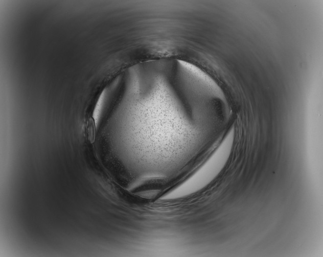 X0000088430601200706121452