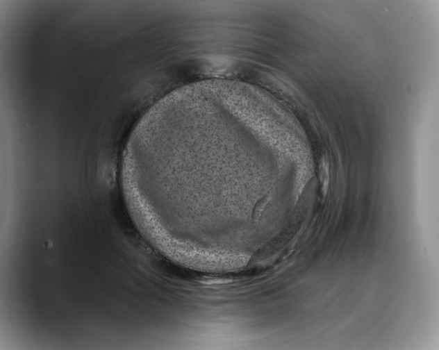 X0000088430602200706121452