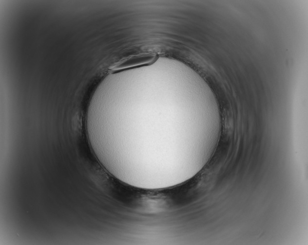 X0000088430603200706121452