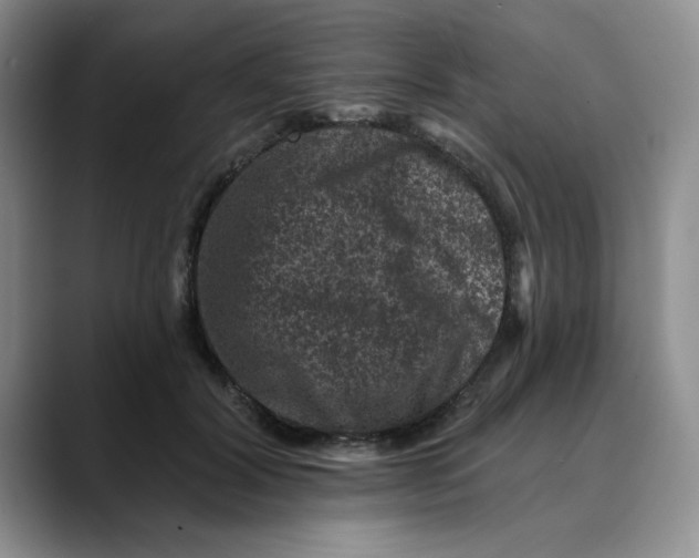 X0000088430604200706121452