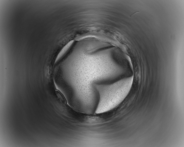 X0000088430605200706121452