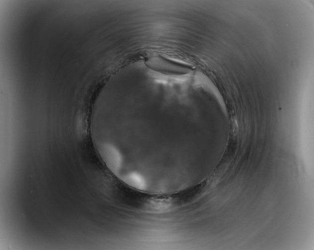 X0000088430606200706121452