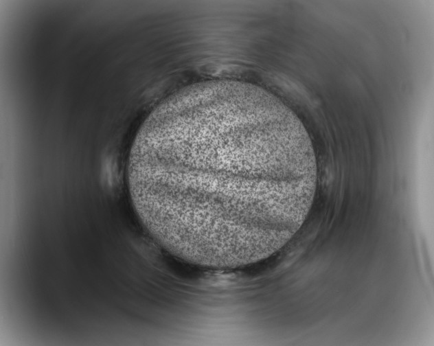 X0000088430607200706121452