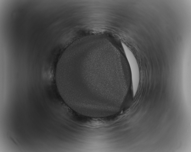 X0000088430608200706121452