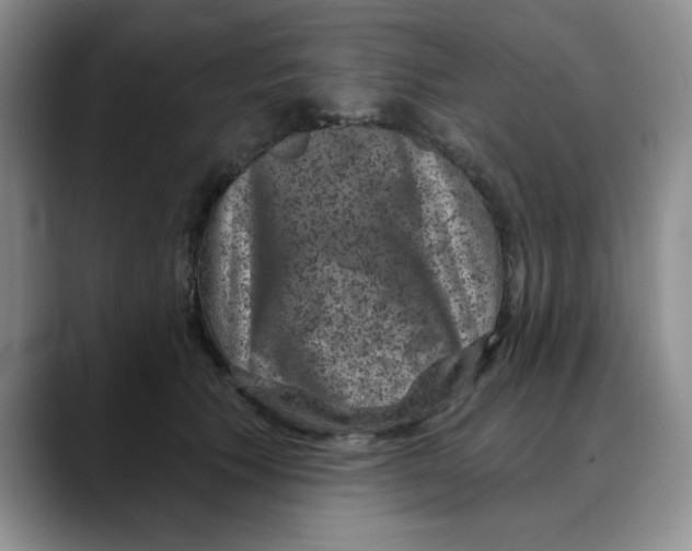 X0000088430609200706121452