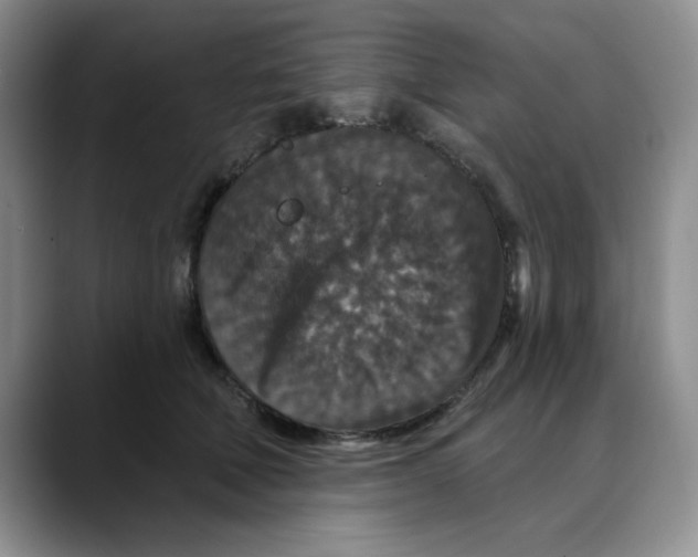 X0000088430610200706121452