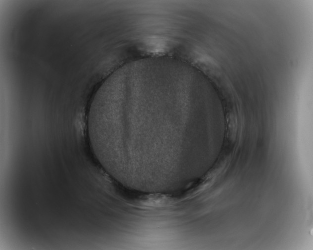 X0000088430612200706121452