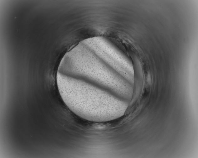 X0000088430613200706121452